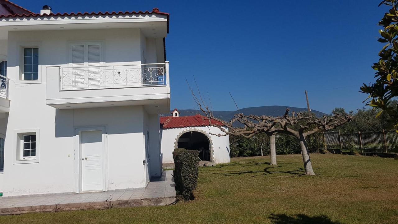 Silver Villa Raches Maisonette & Green Kouvela Luaran gambar